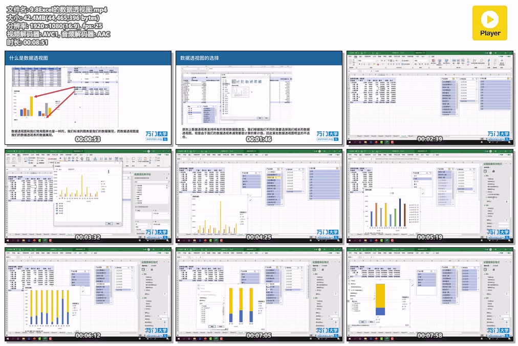 9.8Excel的数据透视图.mp4.jpg
